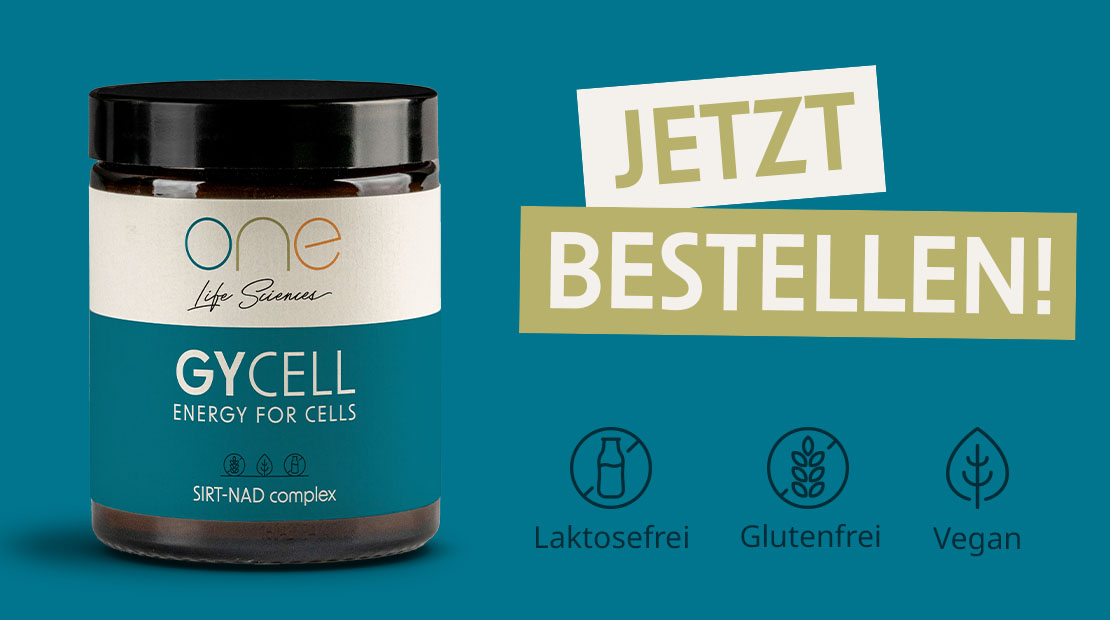 ONE GyCell - Energy for Cells, SIRT-NAD complex